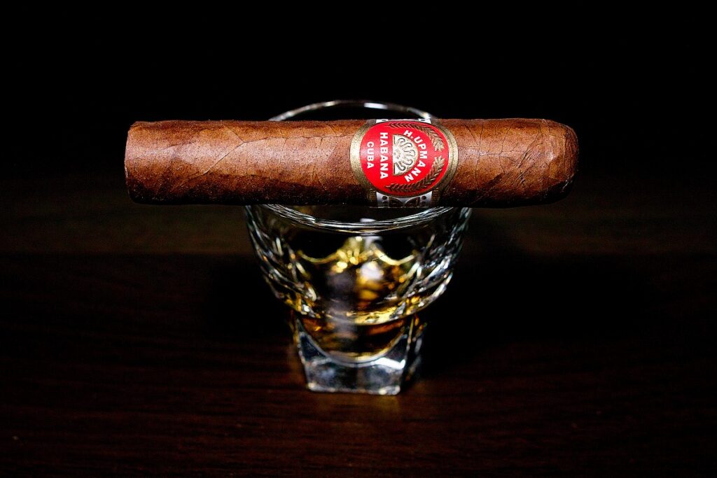 H.アップマン ハーフコロナ/H.Upmann Half Corona Cigar Review|葉巻/シガー初心者の喫煙レビューブログ|ギャラリー1