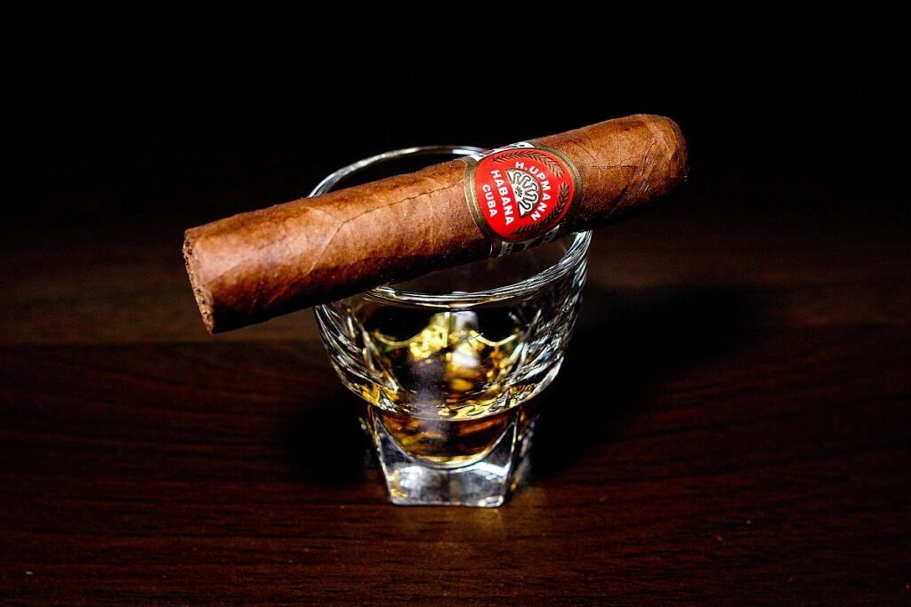 H.アップマン ハーフコロナ/H.Upmann Half Corona Cigar Review|葉巻/シガー初心者の喫煙レビューブログ|ギャラリー2