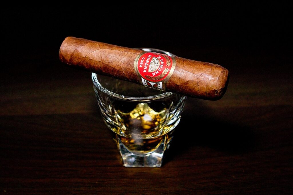 H.アップマン ハーフコロナ/H.Upmann Half Corona Cigar Review|葉巻/シガー初心者の喫煙レビューブログ|ギャラリー3