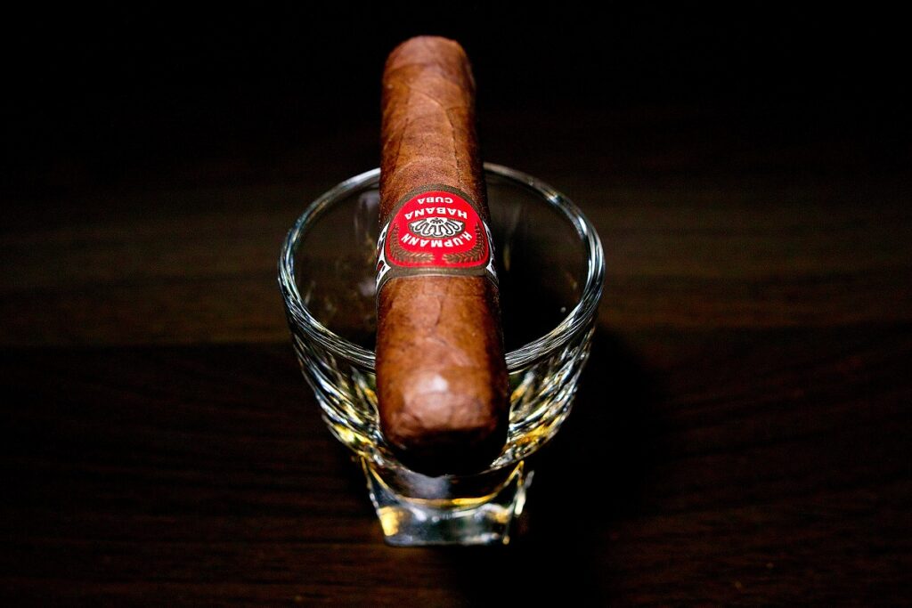 H.アップマン ハーフコロナ/H.Upmann Half Corona Cigar Review|葉巻/シガー初心者の喫煙レビューブログ|ギャラリー4