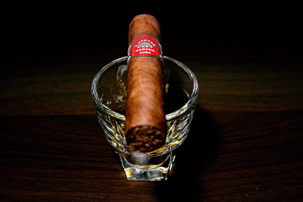 H.アップマン ハーフコロナ/H.Upmann Half Corona Cigar Review|葉巻/シガー初心者の喫煙レビューブログ|ギャラリー5