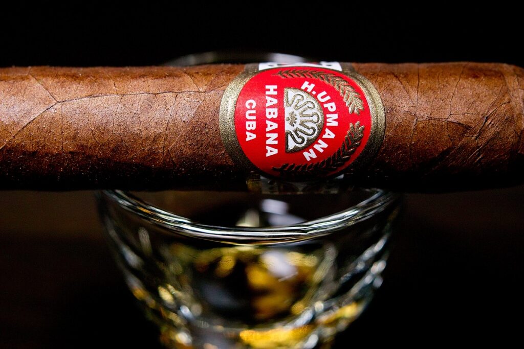 H.アップマン ハーフコロナ/H.Upmann Half Corona Cigar Review|葉巻/シガー初心者の喫煙レビューブログ|ギャラリー7