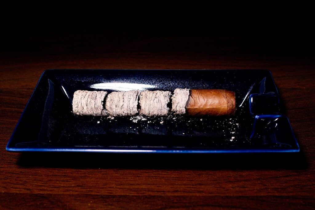 カマチョ コロホ ロブスト/Camacho Corojo Robusto Cigar Review｜葉巻/シガー初心者の喫煙レビューブログ｜喫煙終了後ファイナルアッシュ
