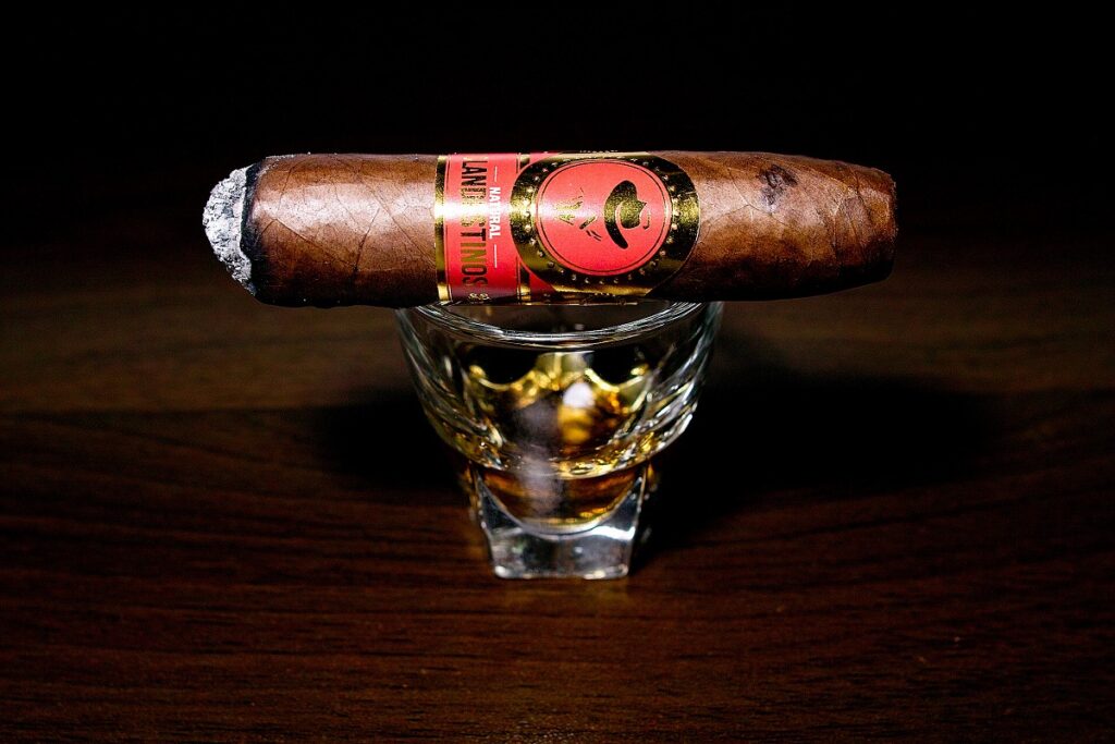 クランデスティノス ナチュラル ドンアレハンドロ/Clandestinos Natural Don Alejandro Cigar Review|葉巻/シガー初心者の喫煙レビューブログ|喫煙中盤セカンドサード