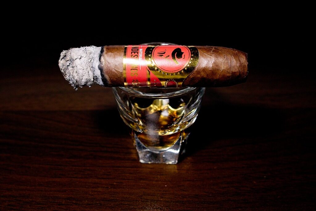 クランデスティノス ナチュラル ドンアレハンドロ/Clandestinos Natural Don Alejandro Cigar Review|葉巻/シガー初心者の喫煙レビューブログ|喫煙中盤の終わり頃セカンドサード