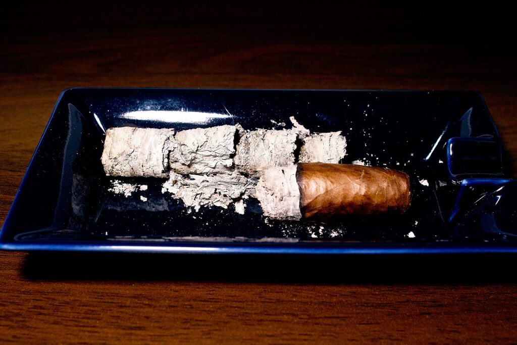 クランデスティノス ナチュラル ドンアレハンドロ/Clandestinos Natural Don Alejandro Cigar Review|葉巻/シガー初心者の喫煙レビューブログ|喫煙終了後ファイナルアッシュ