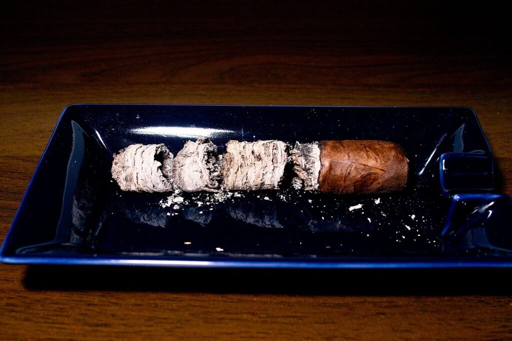 ドリュー・エステート リガ・プリヴァーダ No.9 ロブスト/Drew Estate Liga Privada No.9 Robusto Oscuro Cigar Review｜葉巻/シガー初心者の喫煙レビューブログ｜喫煙終了後ファイナルアッシュ