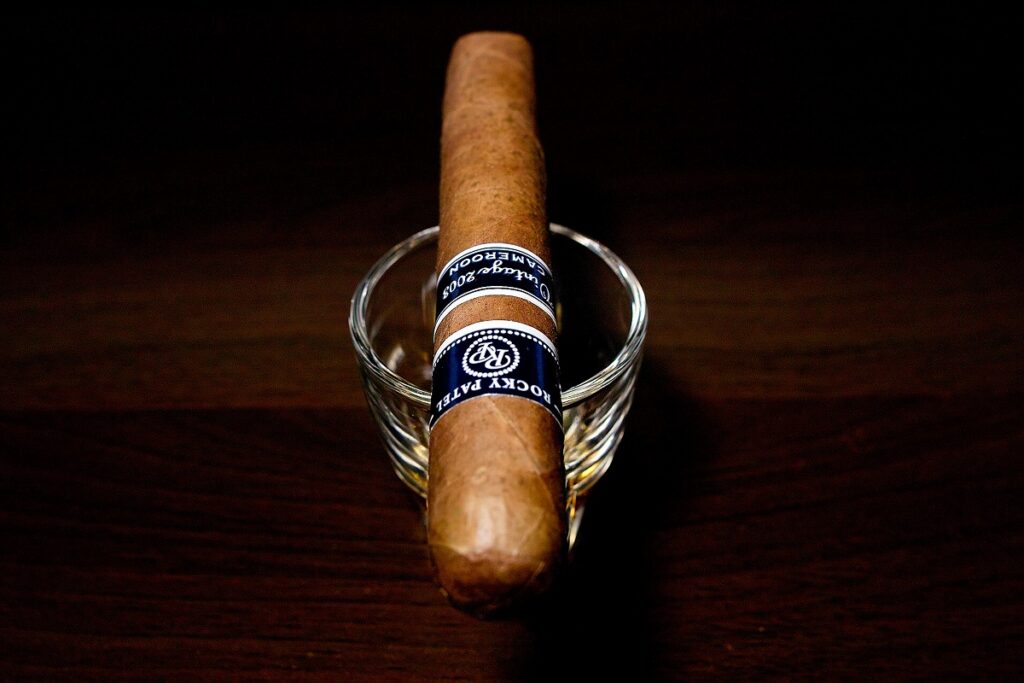 ロッキーパテル ヴィンテージ 2003 ロブスト/Rocky Patel Vintage 2003 Cameroon Robusto Cigar Review｜葉巻/シガー初心者の喫煙レビューブログ｜ギャラリー4