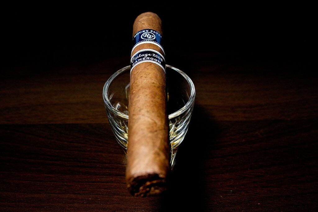 ロッキーパテル ヴィンテージ 2003 ロブスト/Rocky Patel Vintage 2003 Cameroon Robusto Cigar Review｜葉巻/シガー初心者の喫煙レビューブログ｜ギャラリー5