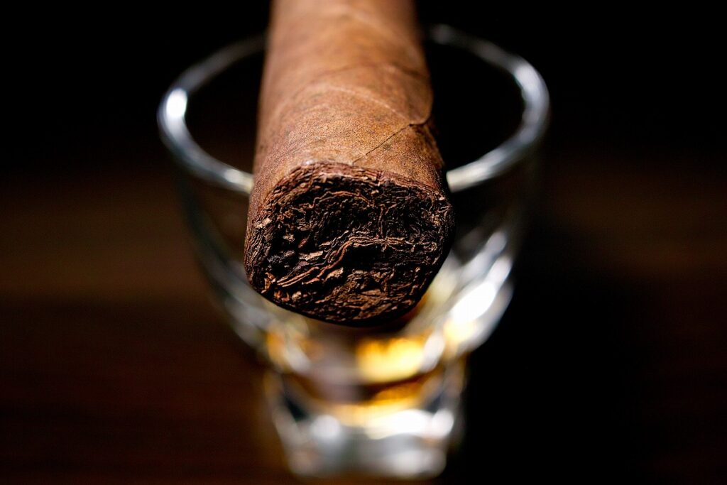 ロッキーパテル ヴィンテージ 2003 ロブスト/Rocky Patel Vintage 2003 Cameroon Robusto Cigar Review｜葉巻/シガー初心者の喫煙レビューブログ｜ギャラリー6