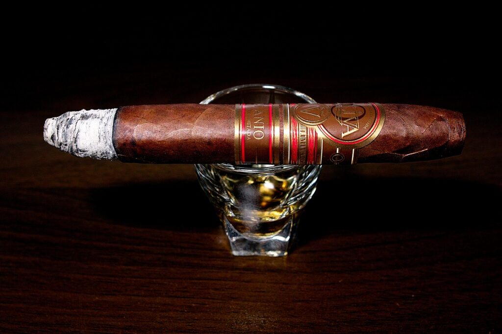 オリバ セリー V メラニオ フィグラド/Oliva Serie V Melanio Figurado Cigar Review｜葉巻/シガー初心者の喫煙レビューブログ｜喫煙序盤の終わり頃ファーストサード