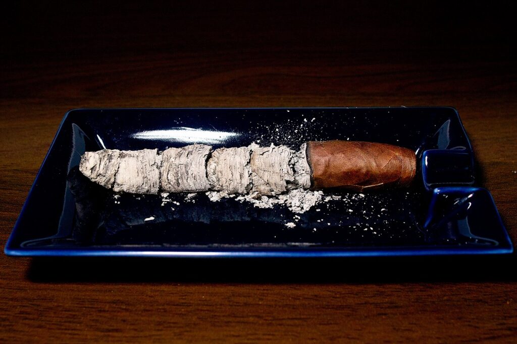 オリバ セリー V メラニオ フィグラド/Oliva Serie V Melanio Figurado Cigar Review｜葉巻/シガー初心者の喫煙レビューブログ｜喫煙終了後ファイナルアッシュ