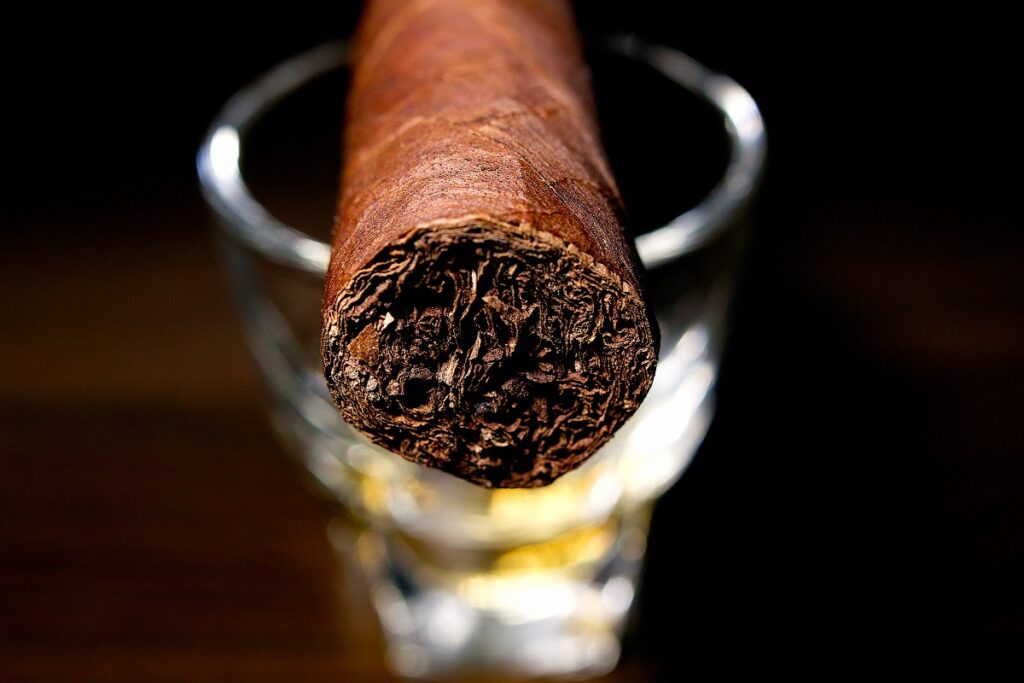 ラ・ガレラ ハバノ トルペド/La Galera Habano Cortador Torpedo Cigar Review|葉巻/シガー初心者の喫煙レビューブログ|ギャラリー6