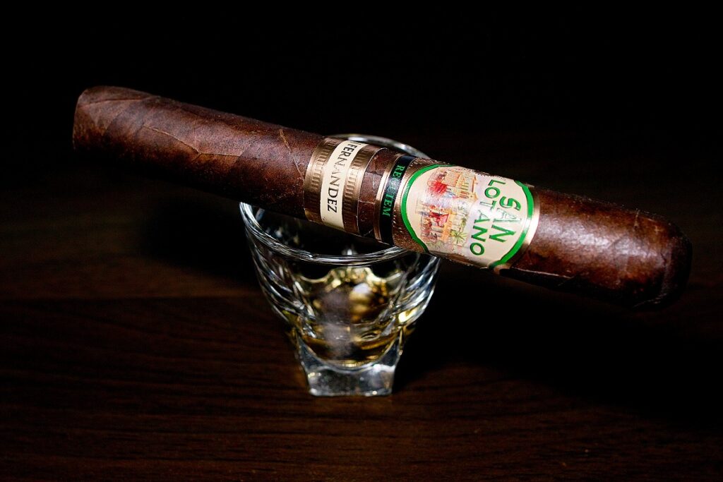 A.J. フェルナンデス サンロターノ ハバノ トロ/A.J. Fernandez San Lotano Requiem Habano Toro Cigar Review｜葉巻/シガー初心者の喫煙レビューブログ｜ギャラリー2