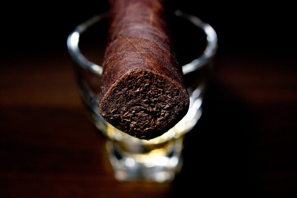 A.J. フェルナンデス サンロターノ ハバノ トロ/A.J. Fernandez San Lotano Requiem Habano Toro Cigar Review｜葉巻/シガー初心者の喫煙レビューブログ｜ギャラリー6