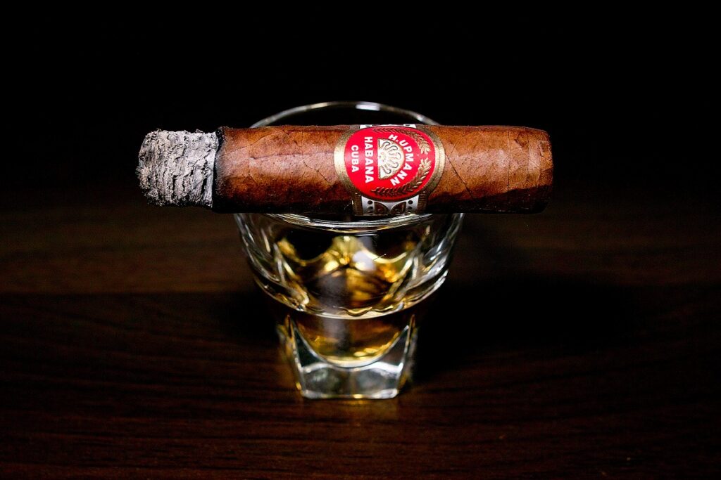 H.アップマン ハーフコロナ/H.Upmann Half Corona Cigar Review|葉巻/シガー初心者の喫煙レビューブログ|喫煙序盤ファーストサード