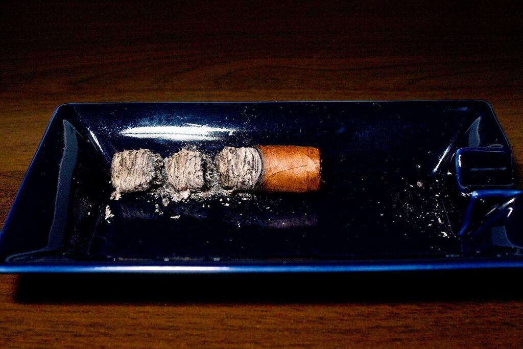 H.アップマン ハーフコロナ/H.Upmann Half Corona Cigar Review|葉巻/シガー初心者の喫煙レビューブログ|喫煙終了後ファイナルアッシュ