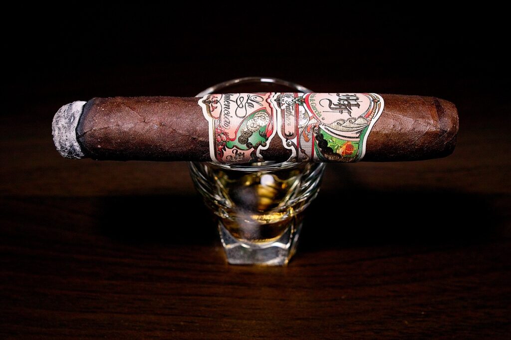 マイファーザー ラ オプレンシア ロブスト/My Father La Opulencia Robusto Cigar Review|葉巻/シガー初心者の喫煙レビューブログ|喫煙序盤ファーストサード