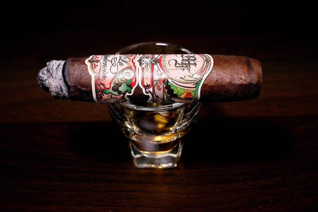 マイファーザー ラ オプレンシア ロブスト/My Father La Opulencia Robusto Cigar Review|葉巻/シガー初心者の喫煙レビューブログ|喫煙中盤セカンドサード