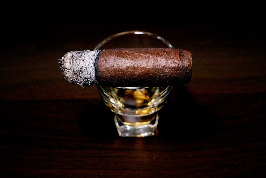 マイファーザー ラ オプレンシア ロブスト/My Father La Opulencia Robusto Cigar Review|葉巻/シガー初心者の喫煙レビューブログ|喫煙終盤の終わり頃ファイナルサード