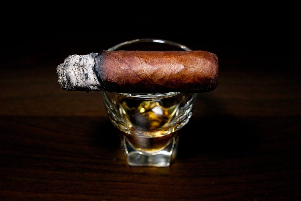 ドン ペピン ガルシア オリジナル インヴィクトス/Don Pepin Garcia Original Blue Edition Invictos Cigar Review｜葉巻/シガー初心者の喫煙レビューブログ｜喫煙終盤ファイナルサード