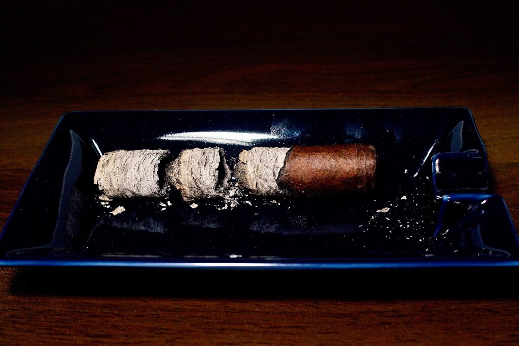 ラ・パリィーナ Mr.サム ロブスト/La Palina Mr. Sam Robusto Cigar Review|葉巻/シガー初心者の喫煙レビューブログ|喫煙終了後ファイナルアッシュ