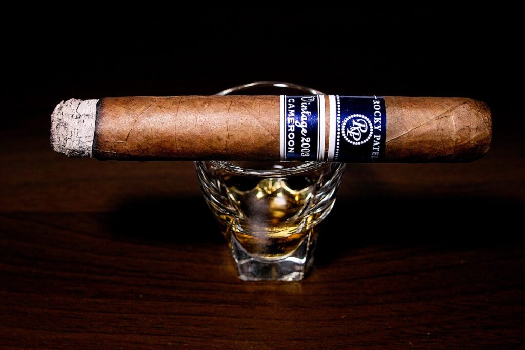 ロッキーパテル ヴィンテージ 2003 ロブスト/Rocky Patel Vintage 2003 Cameroon Robusto Cigar Review｜葉巻/シガー初心者の喫煙レビューブログ｜喫煙序盤ファーストサード