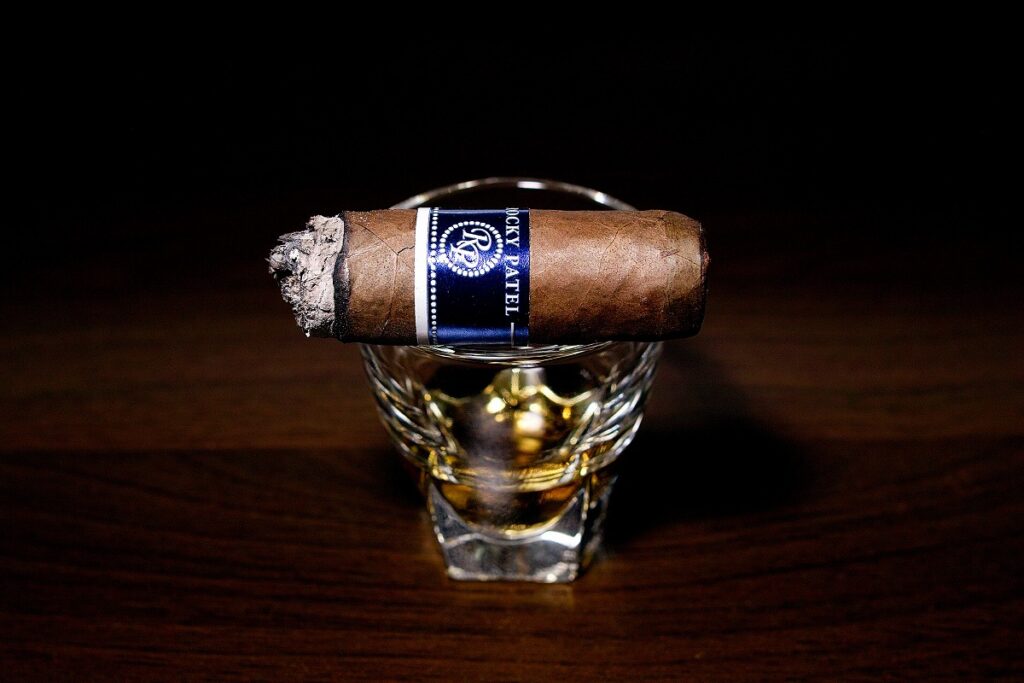 ロッキーパテル ヴィンテージ 2003 ロブスト/Rocky Patel Vintage 2003 Cameroon Robusto Cigar Review｜葉巻/シガー初心者の喫煙レビューブログ｜喫煙終盤ファイナルサード