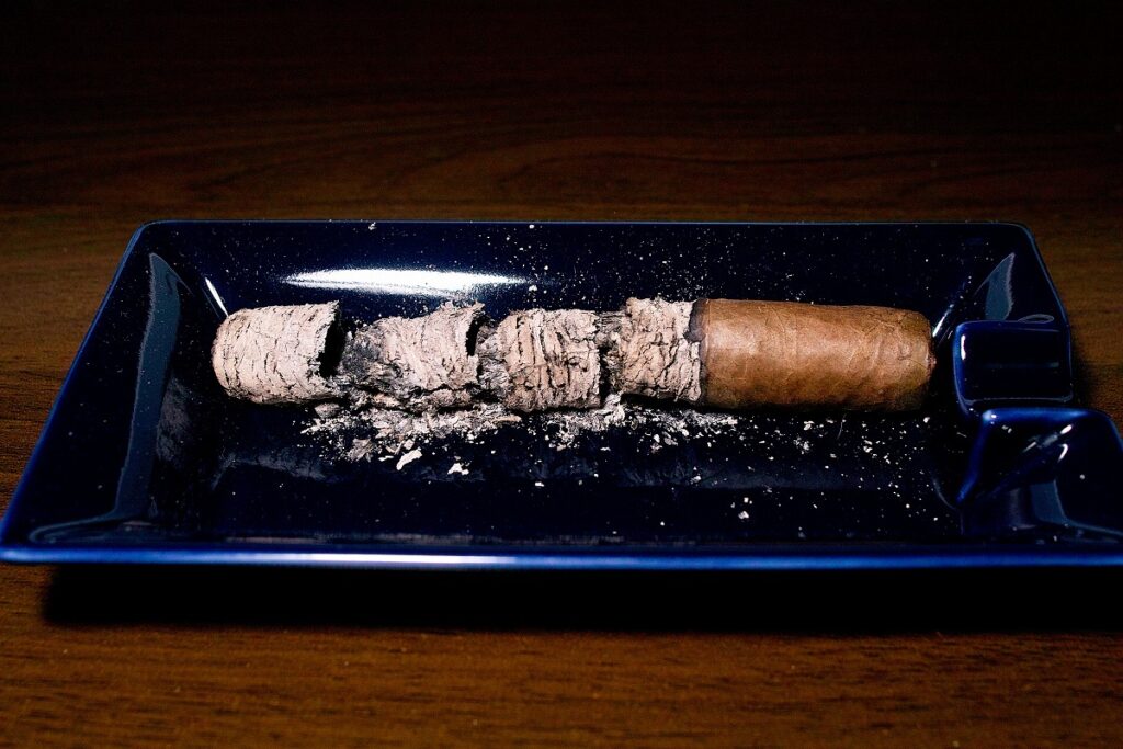 ロッキーパテル ヴィンテージ 2003 ロブスト/Rocky Patel Vintage 2003 Cameroon Robusto Cigar Review｜葉巻/シガー初心者の喫煙レビューブログ｜喫煙終了後ファイナルアッシュ