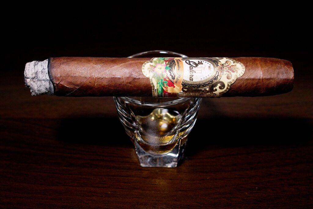 ラ・ガレラ ハバノ ロブスト/La Galera Habano Chaveta Robusto Cigar Review|葉巻/シガー初心者の喫煙レビューブログ|喫煙序盤ファーストサード