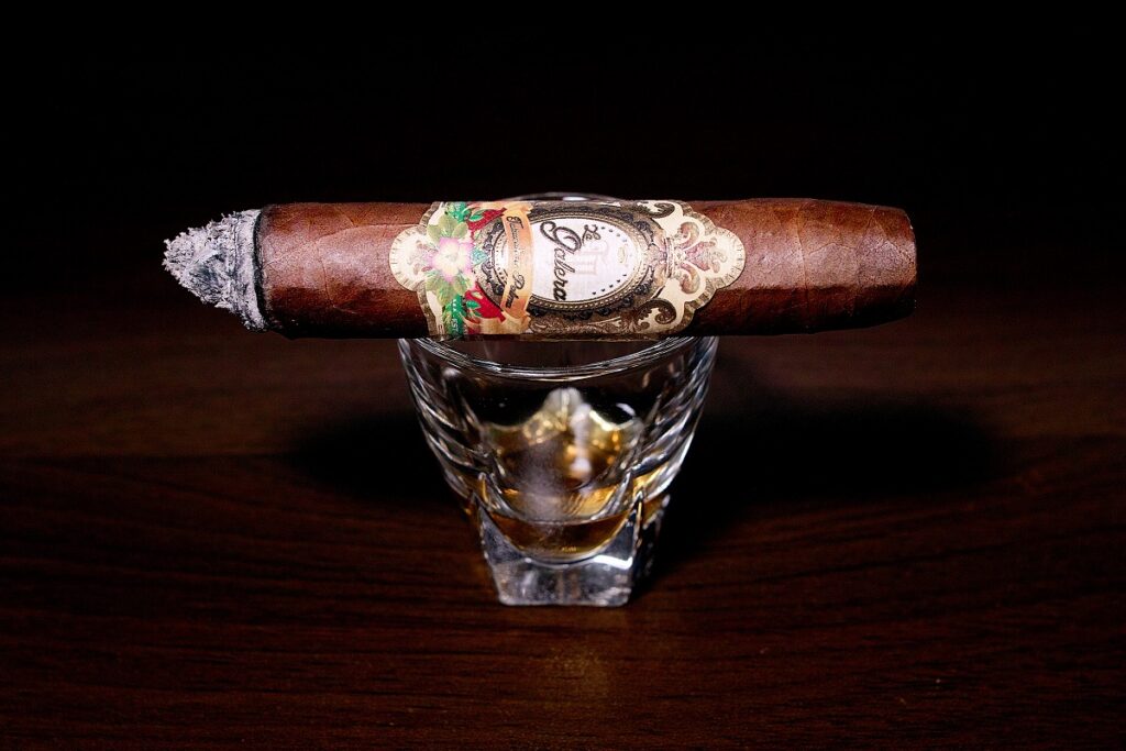 ラ・ガレラ ハバノ ロブスト/La Galera Habano Chaveta Robusto Cigar Review|葉巻/シガー初心者の喫煙レビューブログ|喫煙中盤セカンドサード