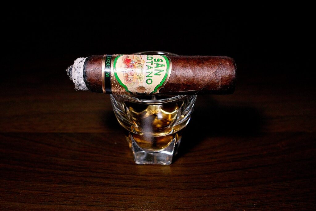 A.J. フェルナンデス サンロターノ ハバノ トロ/A.J. Fernandez San Lotano Requiem Habano Toro Cigar Review｜葉巻/シガー初心者の喫煙レビューブログ｜喫煙中盤の終わり頃セカンドサード