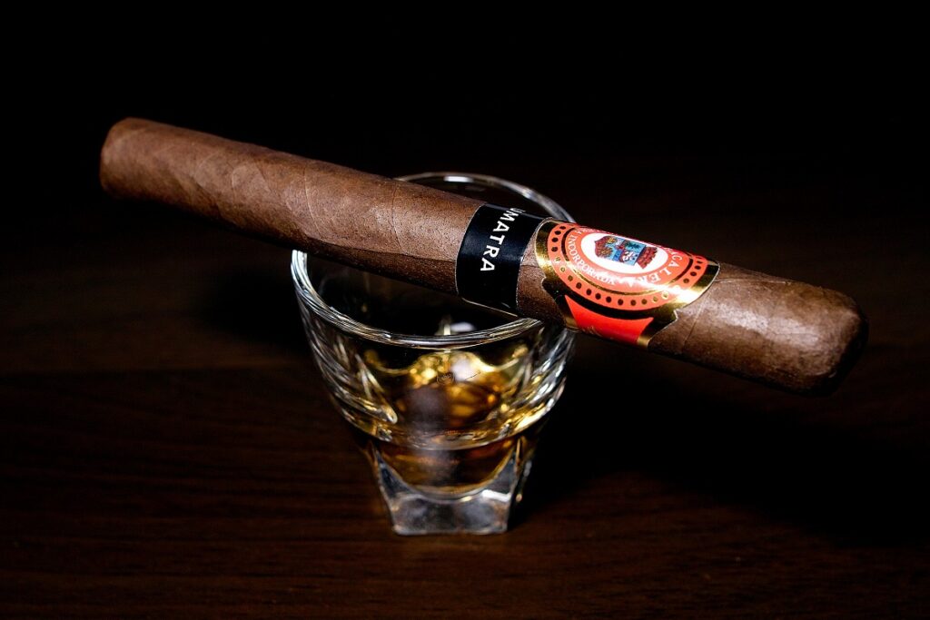 タバカレラ コロナ スマトラ/Tabacalera Coronas Sumatra Cigar Review｜葉巻/シガー初心者の喫煙レビューブログ｜ギャラリー2