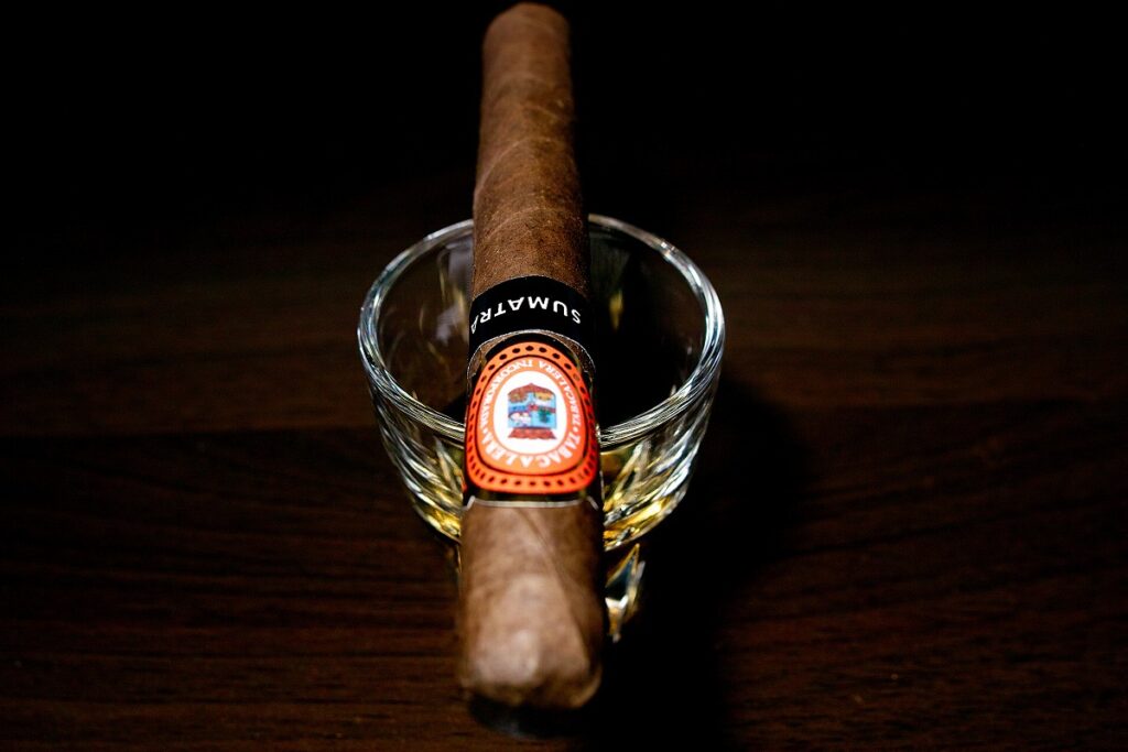 タバカレラ コロナ スマトラ/Tabacalera Coronas Sumatra Cigar Review｜葉巻/シガー初心者の喫煙レビューブログ｜ギャラリー4