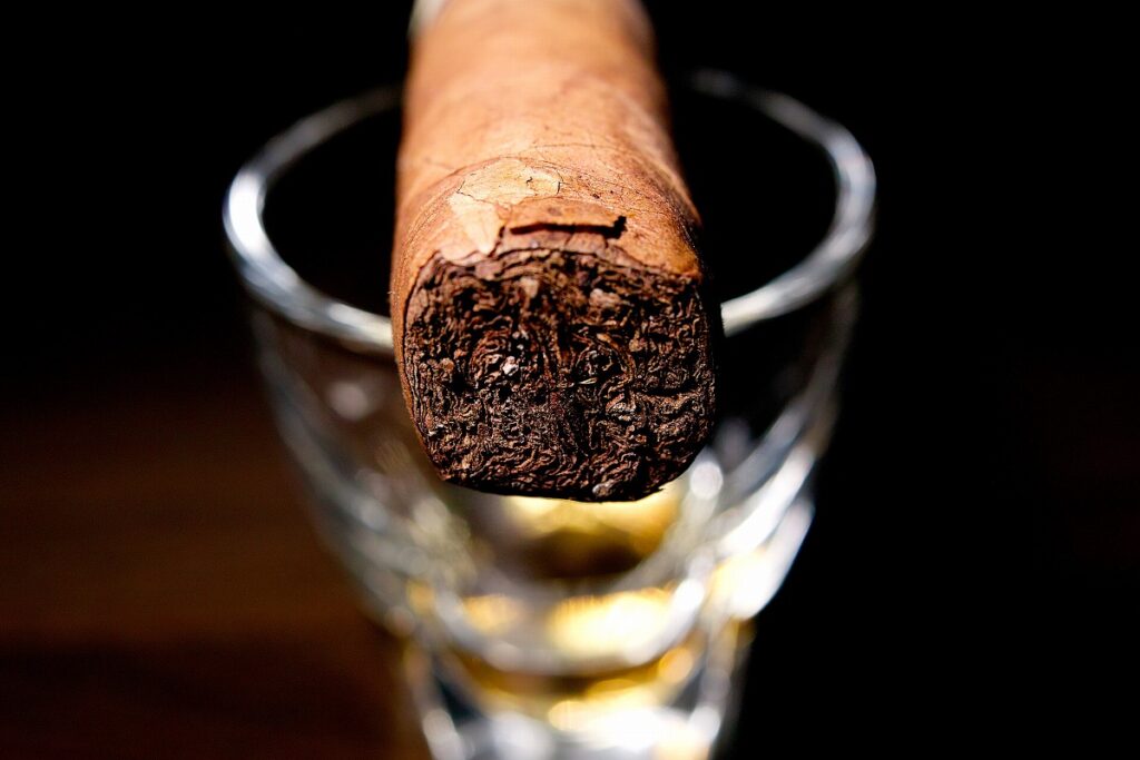 A.J. フェルナンデス サンロターノ コネチカット ロブスト/A.J. Fernandez San Lotano Requiem Connecticut Robusto Cigar Review｜葉巻/シガー初心者の喫煙レビューブログ｜ギャラリー6