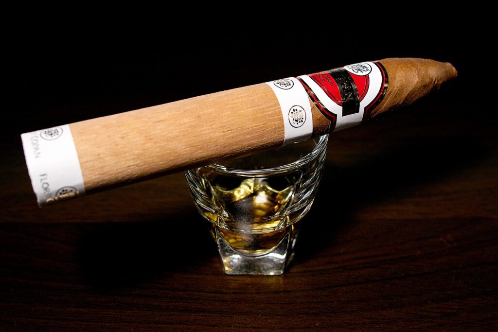 フロール・デ・コパン ベリコソ/Flor de Copan Belicoso Cigar Review｜葉巻/シガー初心者の喫煙レビューブログ｜ギャラリー3