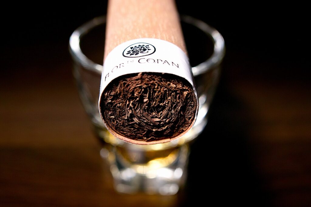 フロール・デ・コパン ベリコソ/Flor de Copan Belicoso Cigar Review｜葉巻/シガー初心者の喫煙レビューブログ｜ギャラリー6