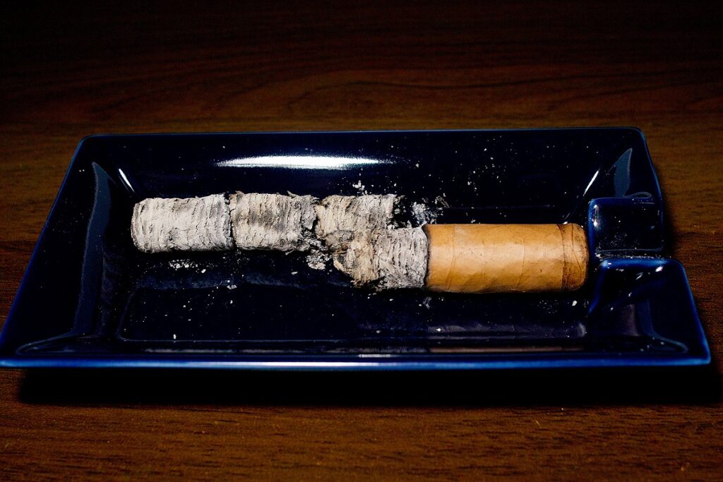 ホヤ・デ・ニカラグア クラシコ チャーチル/Joya de Nicaragua Clasico Churchill Cigar Review｜葉巻/シガー初心者の喫煙レビューブログ｜喫煙終了後ファイナルアッシュ