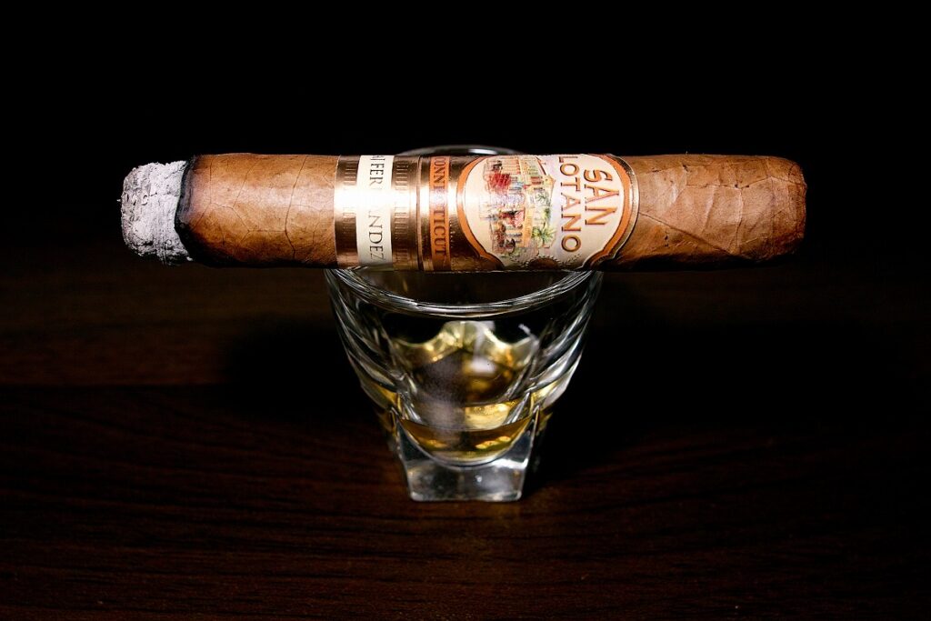 A.J. フェルナンデス サンロターノ コネチカット ロブスト/A.J. Fernandez San Lotano Requiem Connecticut Robusto Cigar Review|葉巻/シガー初心者の喫煙レビューブログ|喫煙序盤ファーストサード