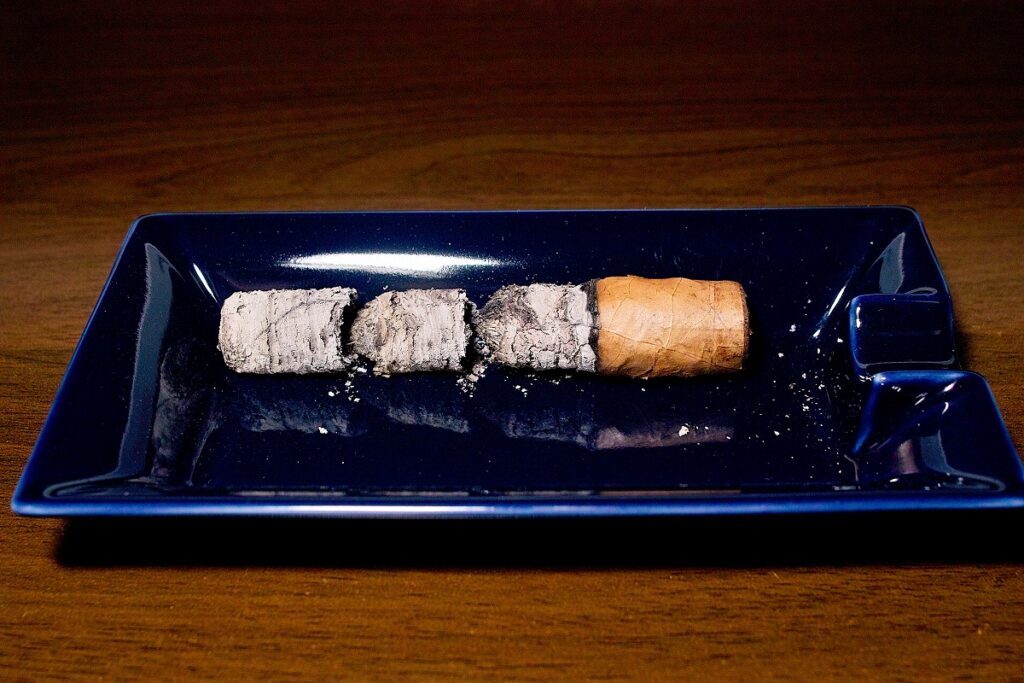 A.J. フェルナンデス サンロターノ コネチカット ロブスト/A.J. Fernandez San Lotano Requiem Connecticut Robusto Cigar Review|葉巻/シガー初心者の喫煙レビューブログ|喫煙終了後ファイナルアッシュ