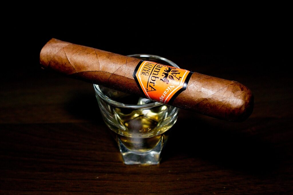 アルファンブラ ロブスト/Alfambra Classic Orange Serie N No.5 Robusto Cigar Review｜葉巻/シガー初心者の喫煙レビューブログ｜ギャラリー2