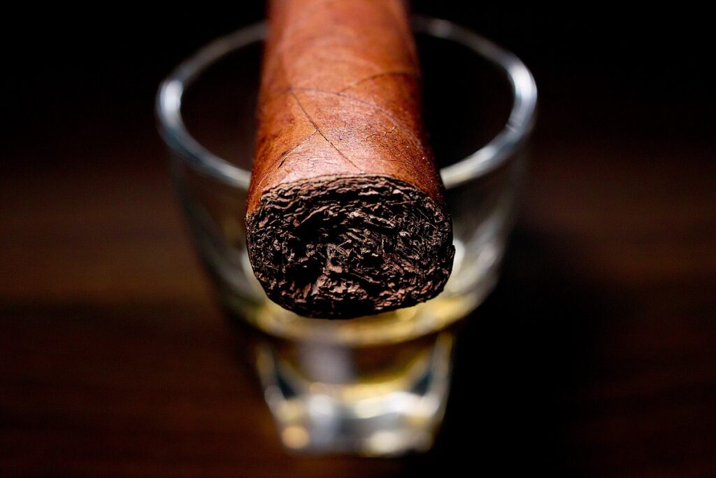 アルファンブラ ロブスト/Alfambra Classic Orange Serie N No.5 Robusto Cigar Review｜葉巻/シガー初心者の喫煙レビューブログ｜ギャラリー6