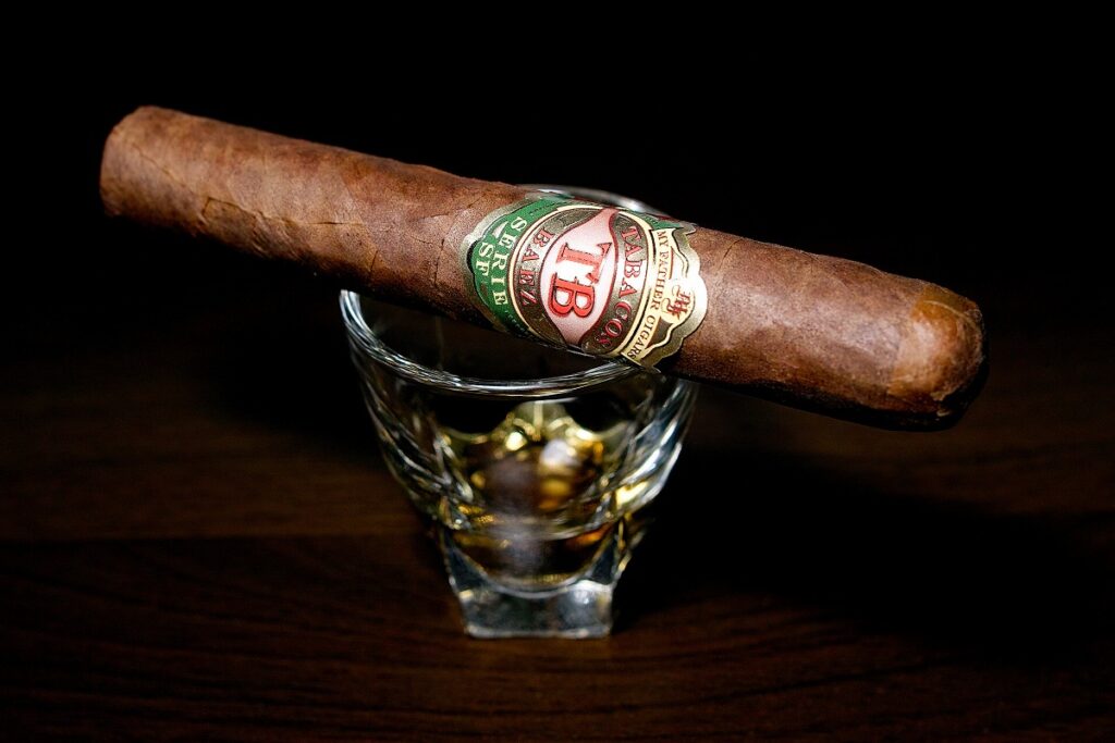 マイファーザー タバコバエス ロブスト/My Father Tabacos Baez Serie SF Robusto Cigar Review｜葉巻/シガー初心者の喫煙レビューブログ｜ギャラリー2