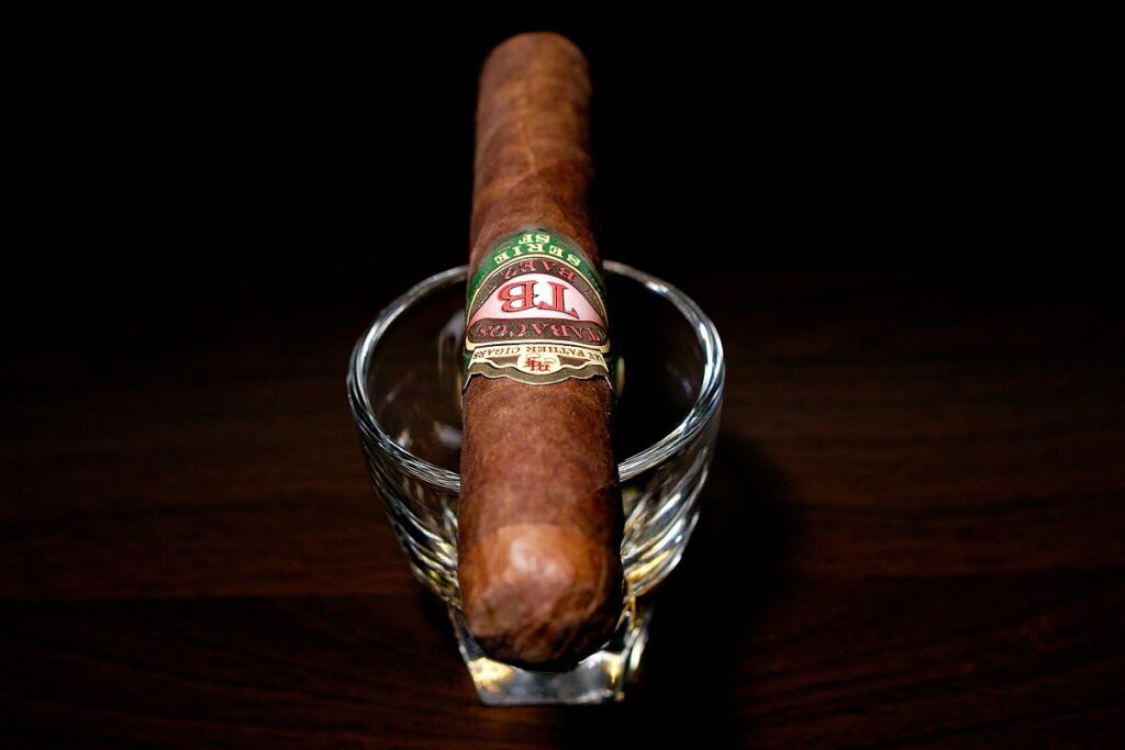 マイファーザー タバコバエス ロブスト/My Father Tabacos Baez Serie SF Robusto Cigar Review｜葉巻/シガー初心者の喫煙レビューブログ｜ギャラリー4
