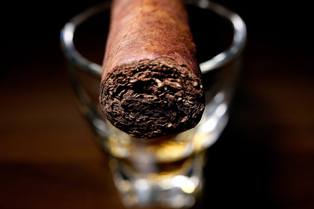 マイファーザー タバコバエス ロブスト/My Father Tabacos Baez Serie SF Robusto Cigar Review｜葉巻/シガー初心者の喫煙レビューブログ｜ギャラリー6
