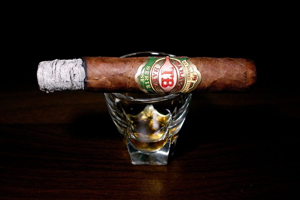 マイファーザー タバコバエス ロブスト/My Father Tabacos Baez Serie SF Robusto Cigar Review|葉巻/シガー初心者の喫煙レビューブログ|喫煙序盤の終わり頃ファーストサード
