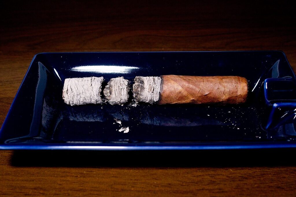 マイファーザー タバコバエス ロブスト/My Father Tabacos Baez Serie SF Robusto Cigar Review|葉巻/シガー初心者の喫煙レビューブログ|喫煙終了後ファイナルアッシュ