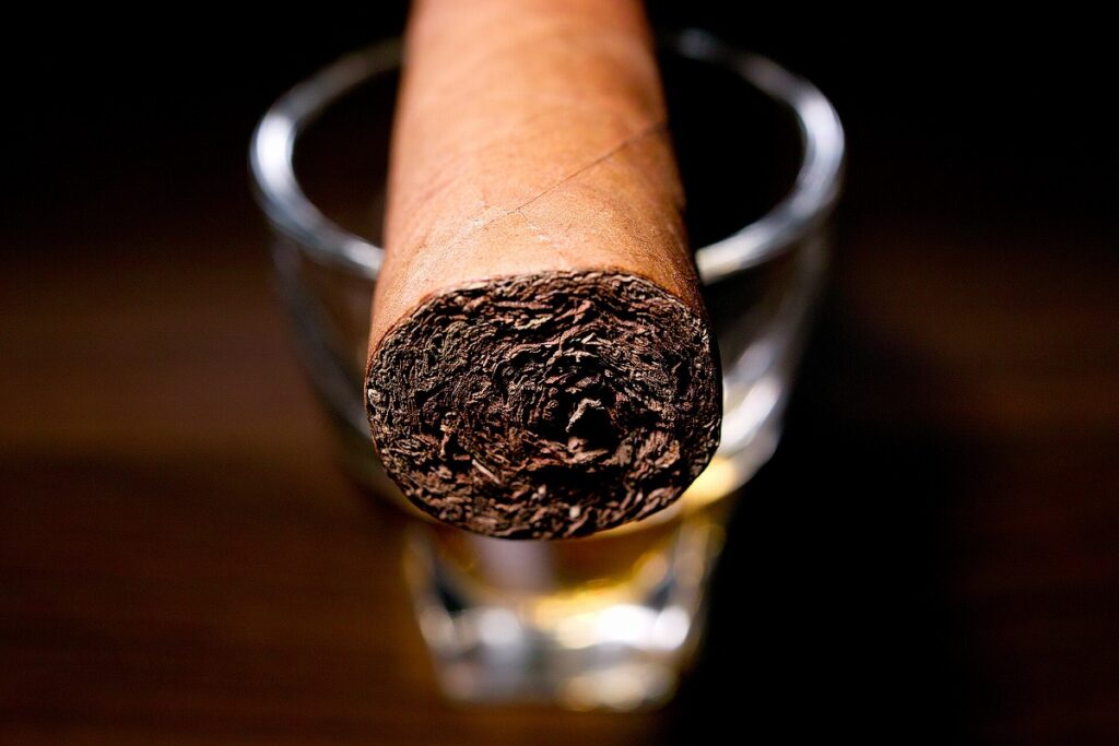 ホヤ・デ・ニカラグア キャビネッタ トロ/Joya de Nicaragua Cabinetta Toro Cigar Review｜葉巻/シガー初心者の喫煙レビューブログ｜ギャラリー6