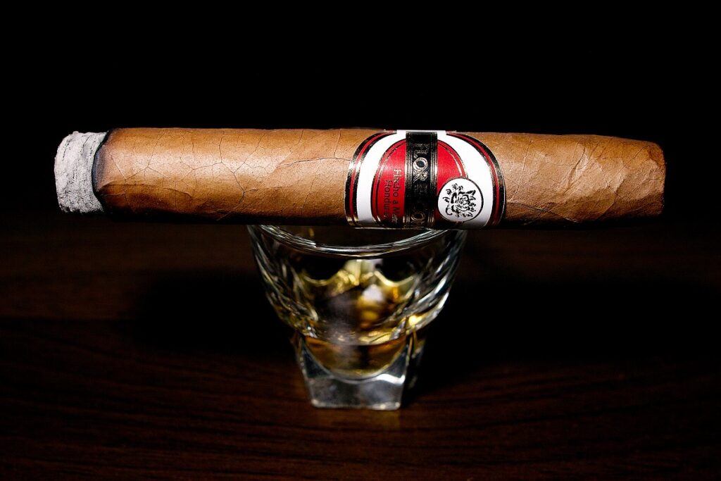 フロール・デ・コパン ベリコソ/Flor de Copan Belicoso Cigar Review|葉巻/シガー初心者の喫煙レビューブログ|喫煙序盤ファーストサード