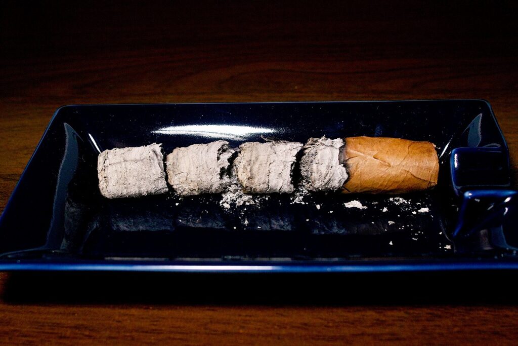 フロール・デ・コパン ベリコソ/Flor de Copan Belicoso Cigar Review|葉巻/シガー初心者の喫煙レビューブログ|喫煙終了後ファイナルアッシュ